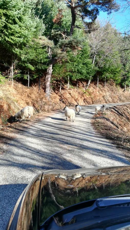 مبيت وإفطار Saint-Barthélemy-le-Meil La Grange De La Coste المظهر الخارجي الصورة